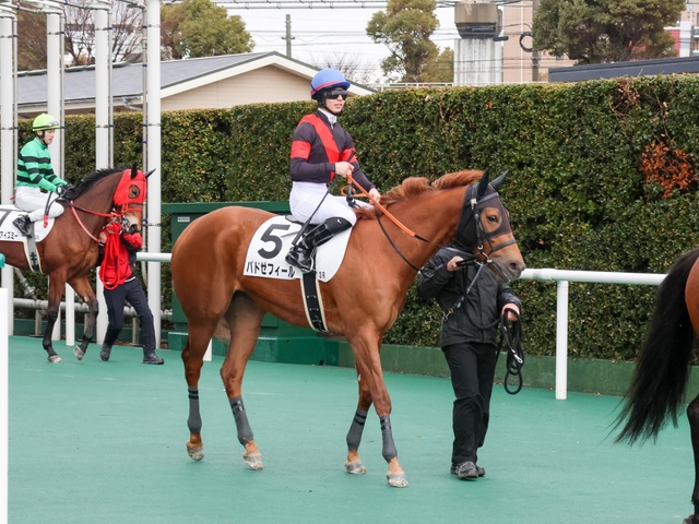 パドゼフィール