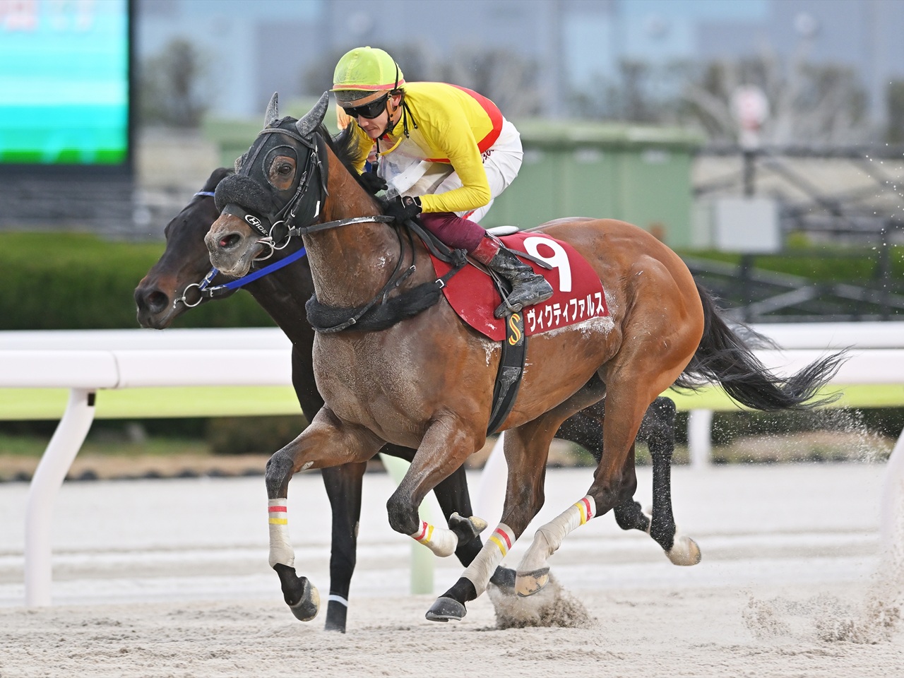 ヴィクティファルス