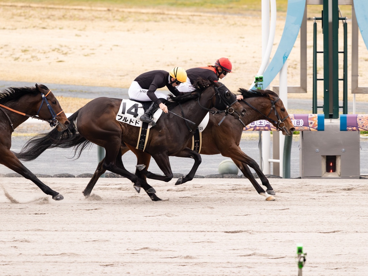 シルフズミスチーフ