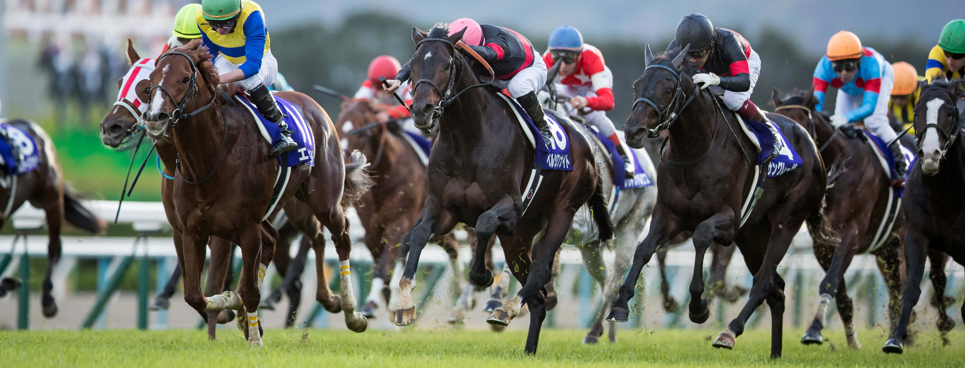 成績により感じられる手応え