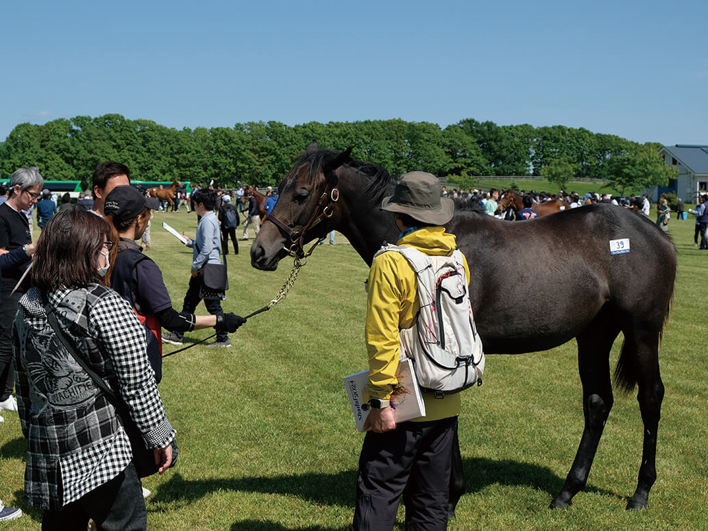 牧場見学ツアー