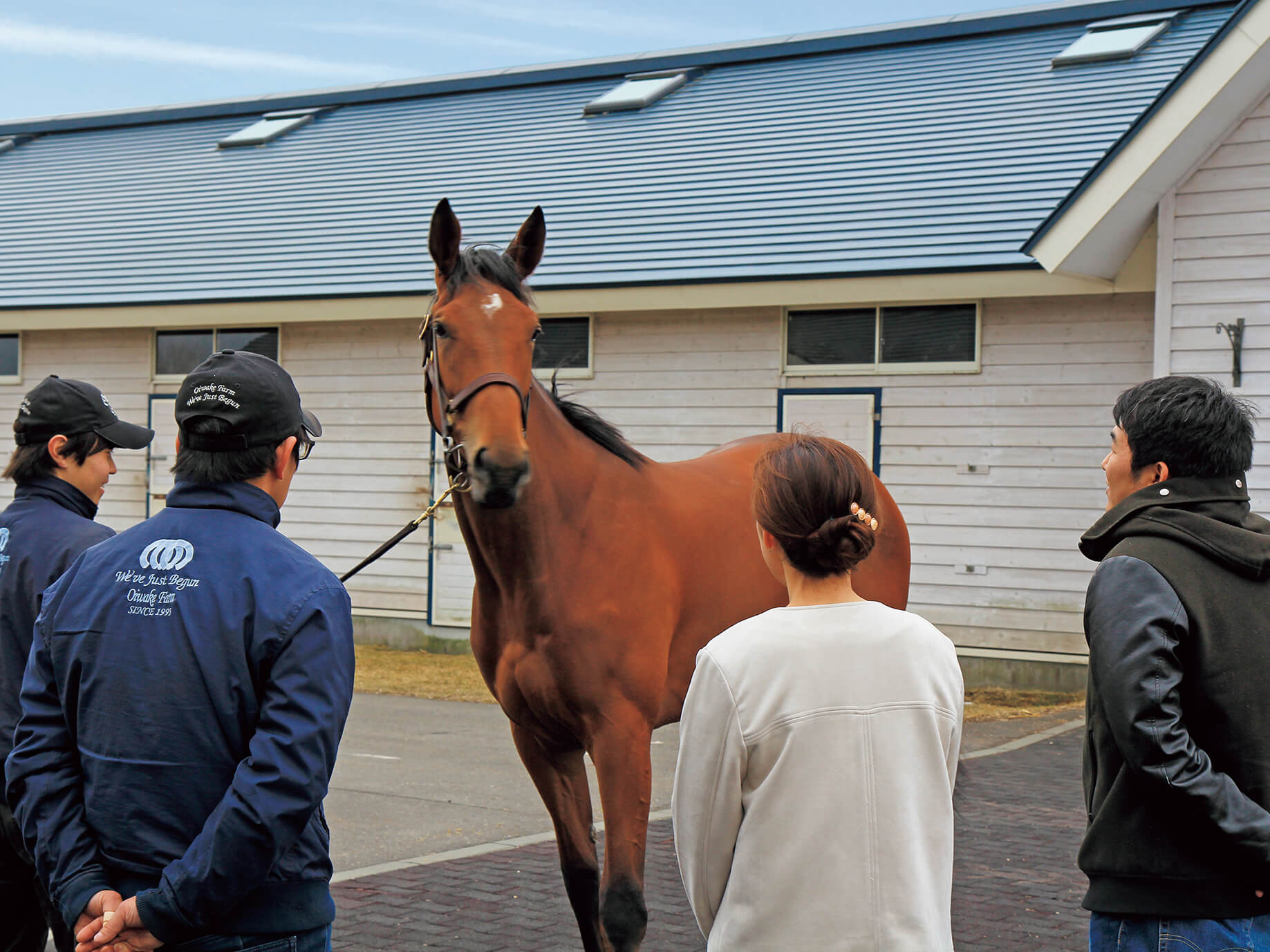 愛馬のネーミング