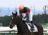馬ページ G1 Thoroughbred Club ジーワンサラブレッドクラブ
