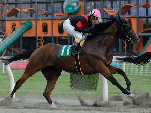 G1 Thoroughbred Club ジーワンサラブレッドクラブ