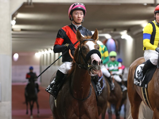 馬です G1 Thoroughbred Club ジーワンサラブレッドクラブ