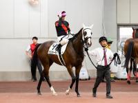 馬です 馬です ZX DAMPER 詳細情報|RACING GEAR｜オンラインオートサロン