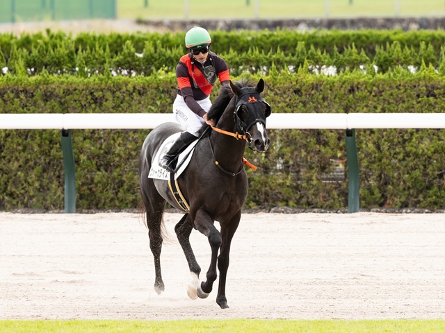 G1 Thoroughbred Club ジーワンサラブレッドクラブ