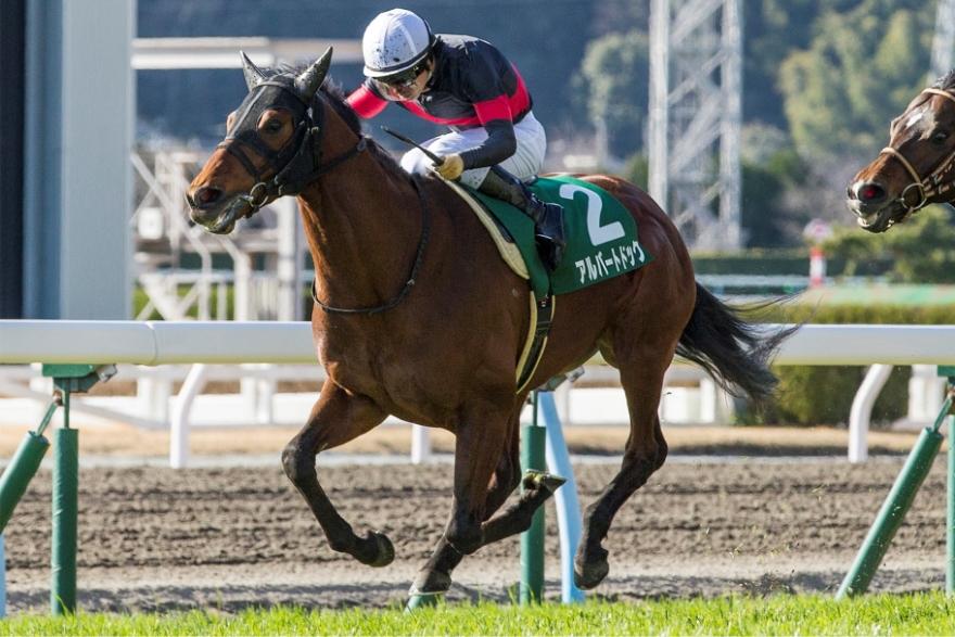 [2016/1/22]小倉・小倉大賞典（G3）・アルバートドック