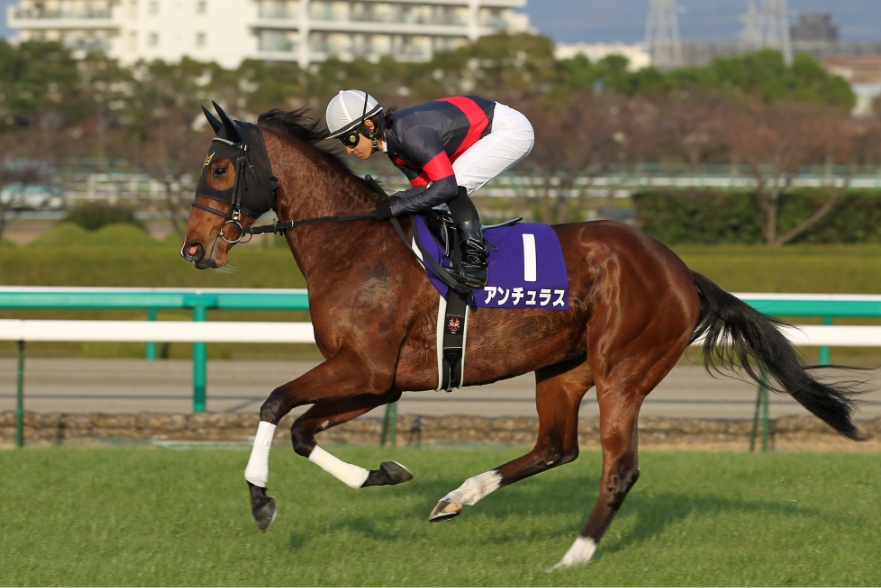 【2011/12/11】阪神・阪神ジュベナイルフィリーズ（G1）・アンチュラス