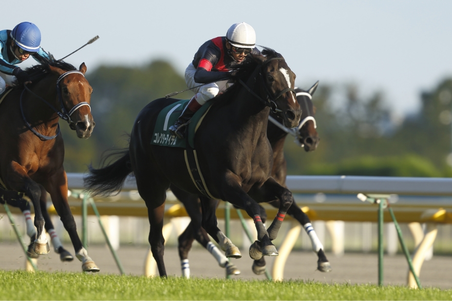 [2012/11/3]東京・アルテミスステークス（新設重貸）・コレクターアイテム