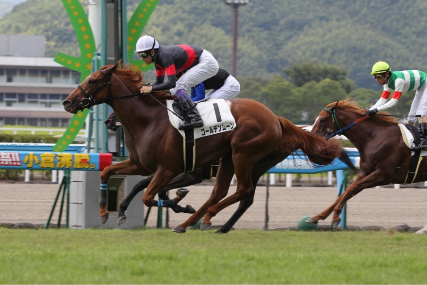 【2011/8/13】小倉・2歳新馬・ゴールデンムーン