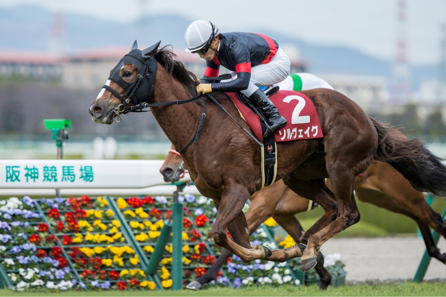 [2016/3/13]阪神・フィリーズレビュー（G2）・ソルヴェイグ