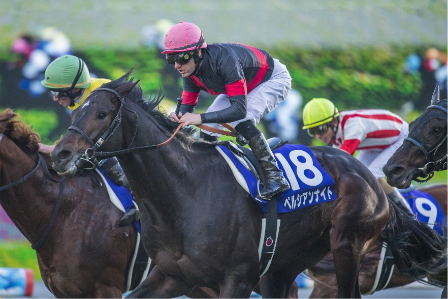 [2017/11/19]京都・マルイチャンピオンシップ（G1）・ペルシアンナイト