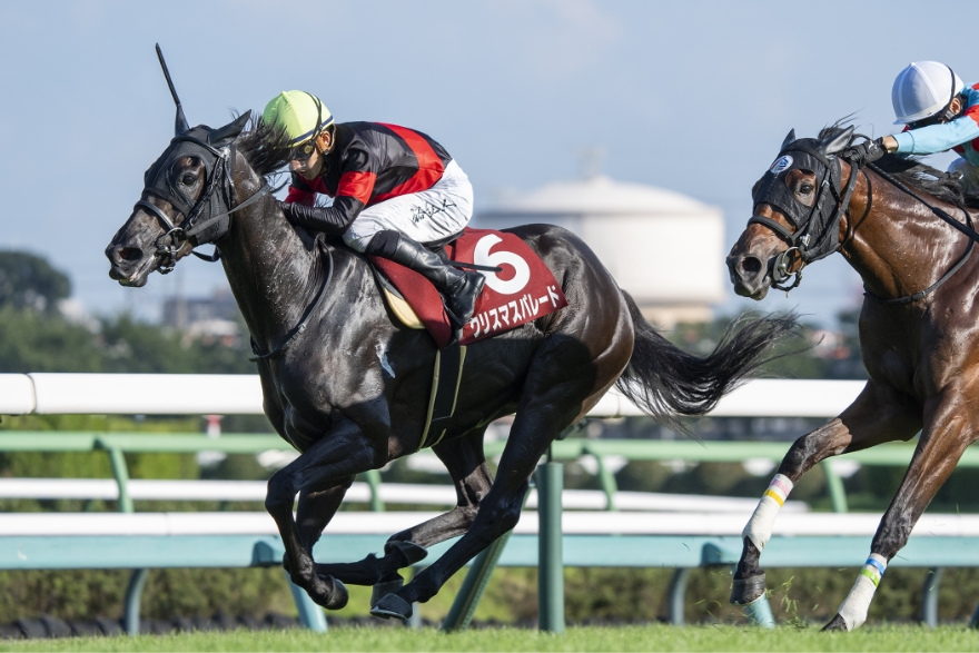 [2024/9/7]中山・紫苑ステークス（G2）・クリスマスパレード