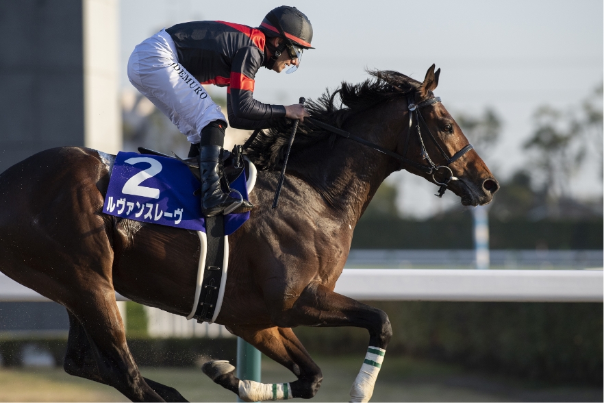 [2018/12/2]中京・チャンピオンズカップ（G1）・ルヴァンスレーヴ