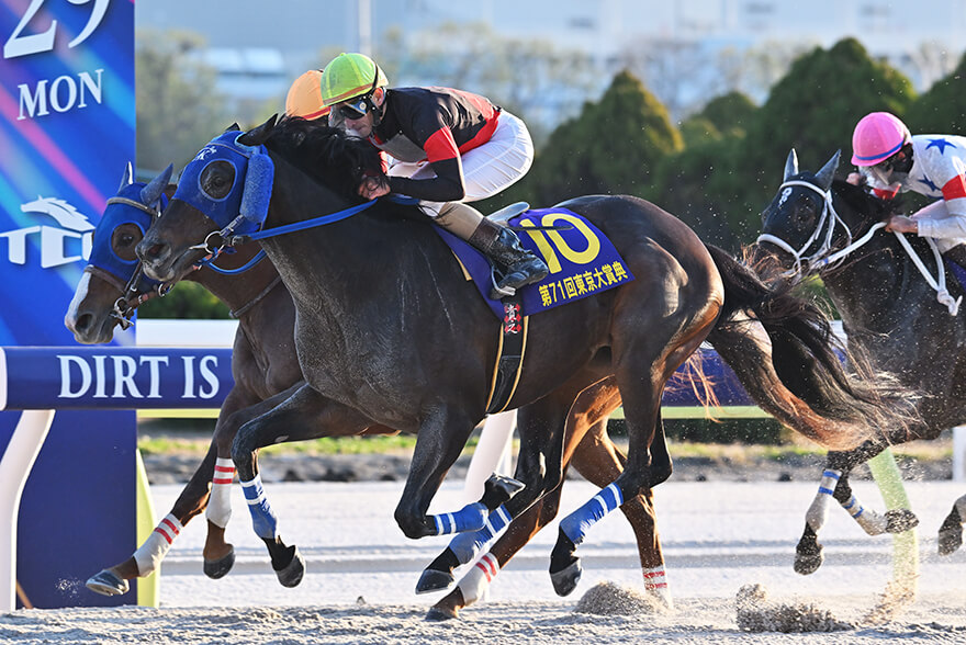 [2025/12/29]大井・東京大賞典（G1・ディクテオン