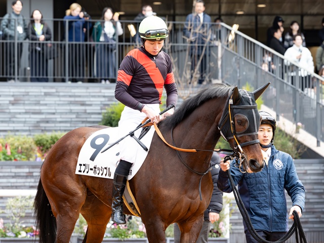 エブリーポッシブルが圧倒的１番人気の支持に応え、３歳オープン入り！