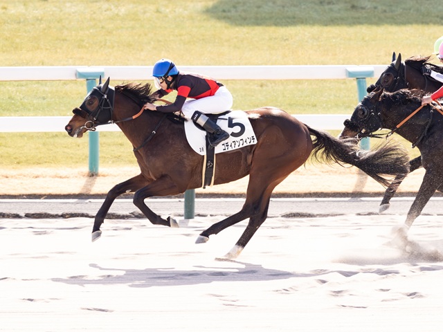 ゴディアンフィンチがきっちりと前を捉えて初勝利！