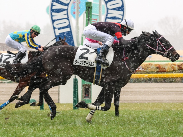 ターンザテーブルスが外から鋭く差し切って初勝利！