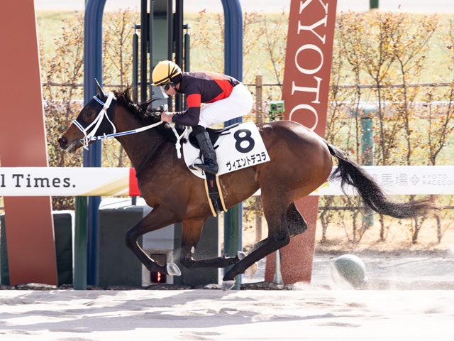 ヴィエントデコラが４馬身差の圧勝で初勝利！