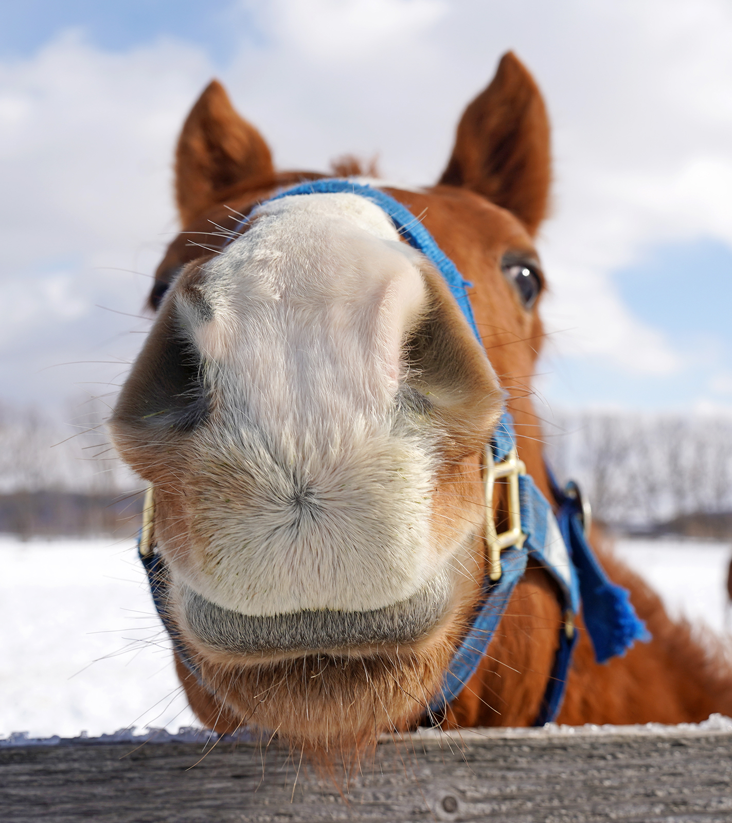 ひょっこりフレームインしてきた、生まれて8日目の仔😊