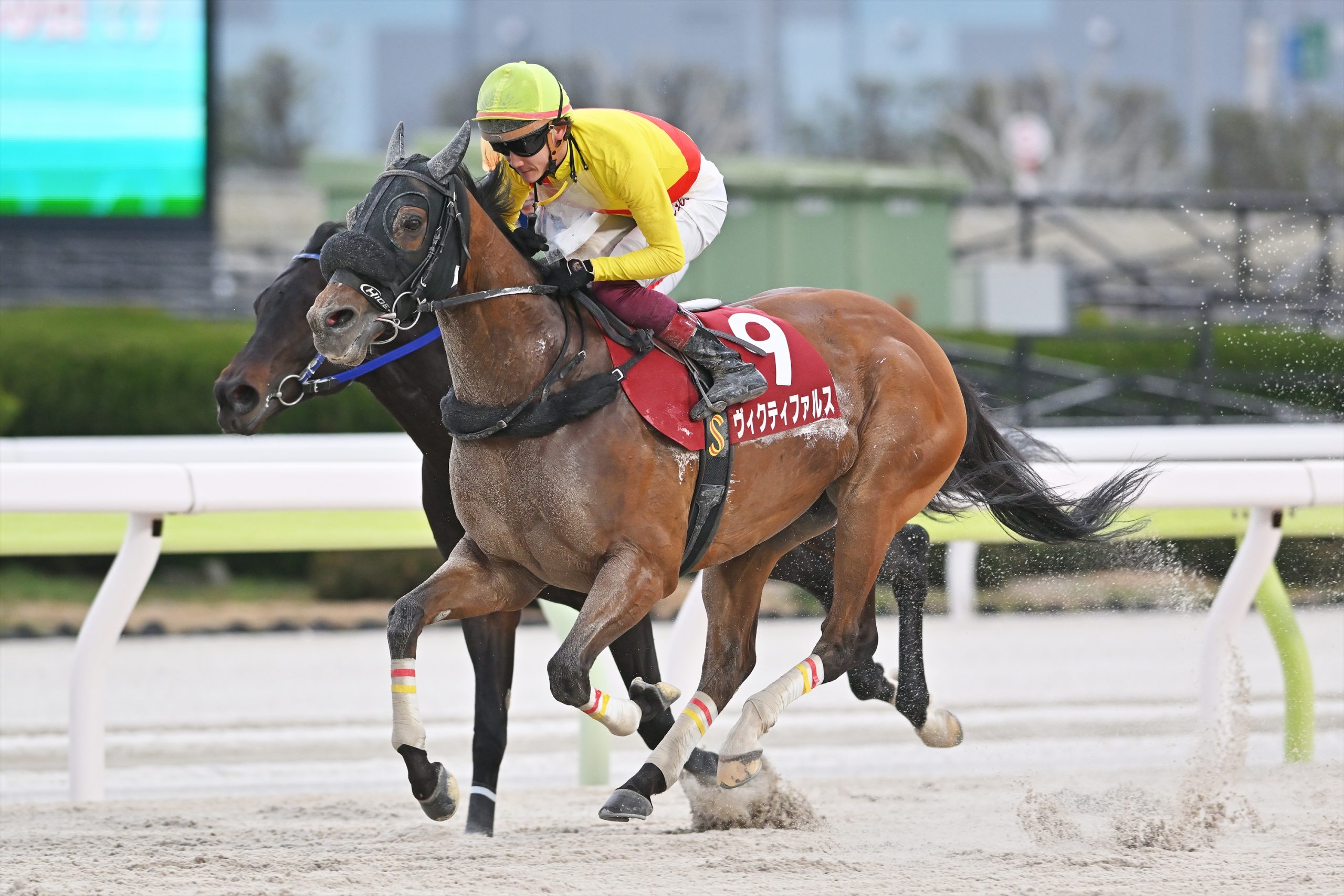 ヴィクティファルスが復活の勝利！