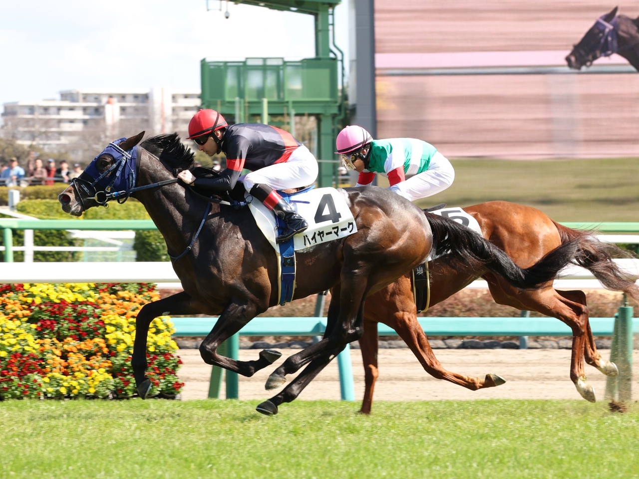 ハイヤーマークが直線でしっかりと脚を伸ばし、３歳オープン入り！