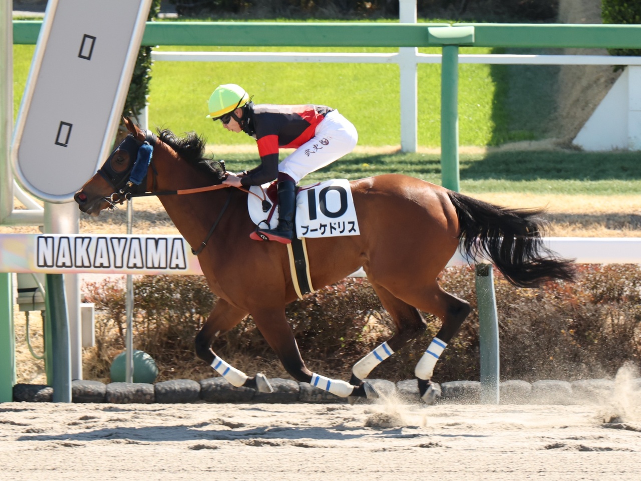ブーケドリスが６馬身差の圧勝で初勝利！