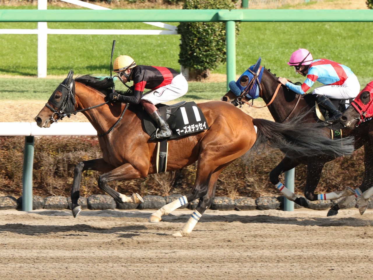 マーズオデッセイが力強い末脚でライバルを捉え、オープン入り！