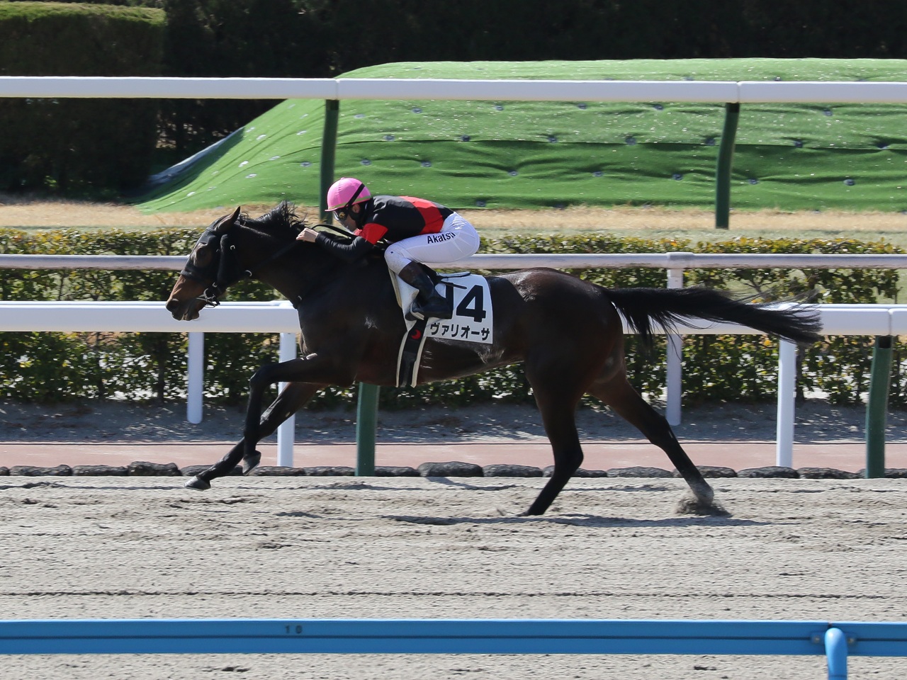 ヴァリオーサが外から力強く伸びて完勝！