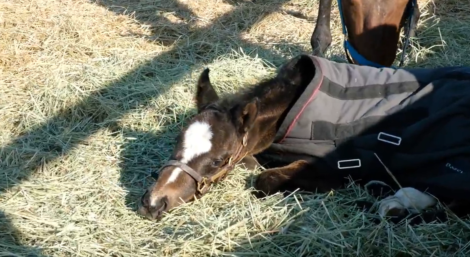 かわいい格好で寝ちゃう