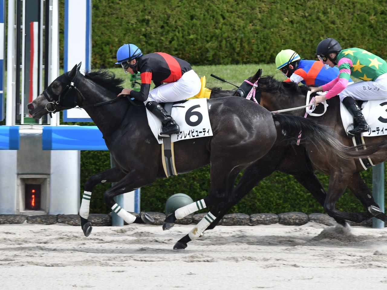 アグレイビューティがゴール前でひと伸びを見せ、初勝利！