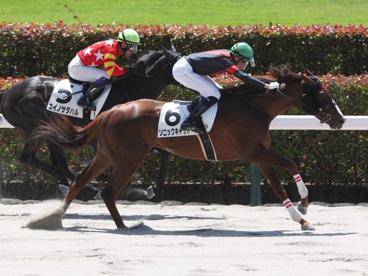 ソニックキャットが逃げ切って初勝利！