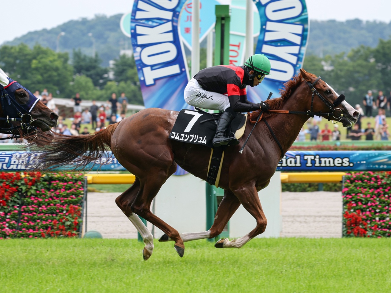 コムユンプリュムが果敢に逃げ切り、通算３勝目！
