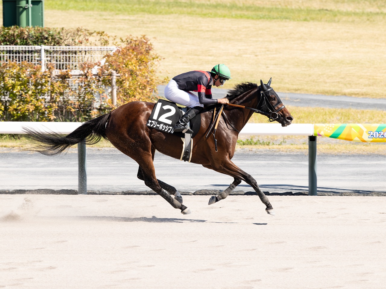 エブリーポッシブルが堂々の内容で３勝目！
