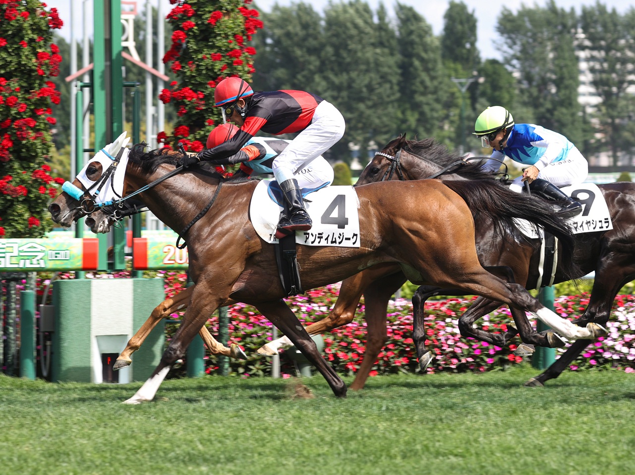 アンディムジークが華麗にゴール前で差しきり、２勝目をマーク！