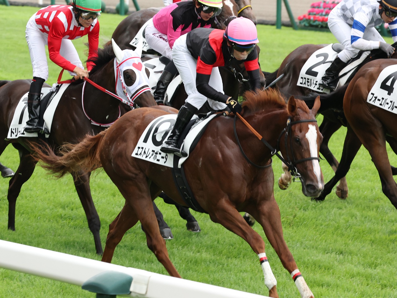 エストレアボニータが２戦目で勝ち上がり！
