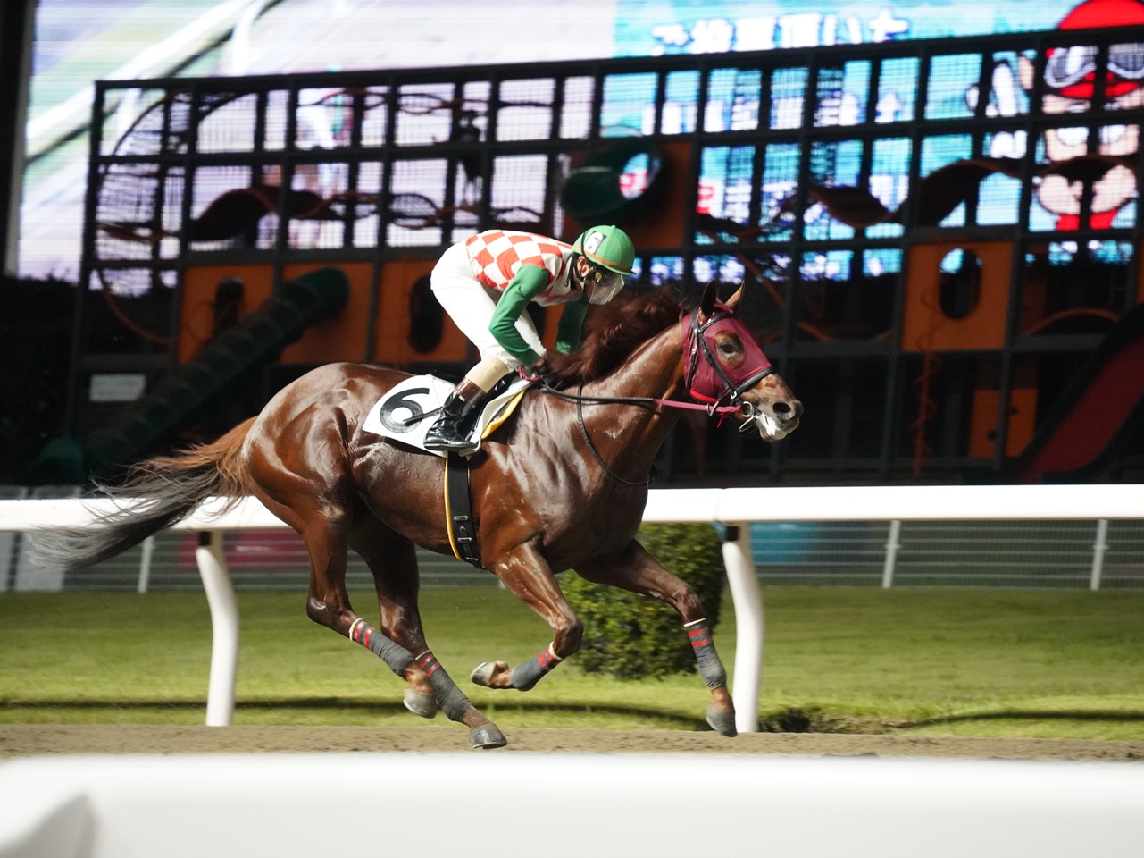 オペラプラージュが地方移籍緒戦を快勝！