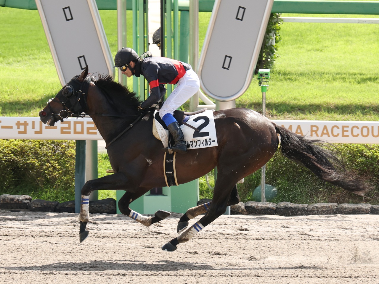 カルマンフィルターが待望の初勝利！