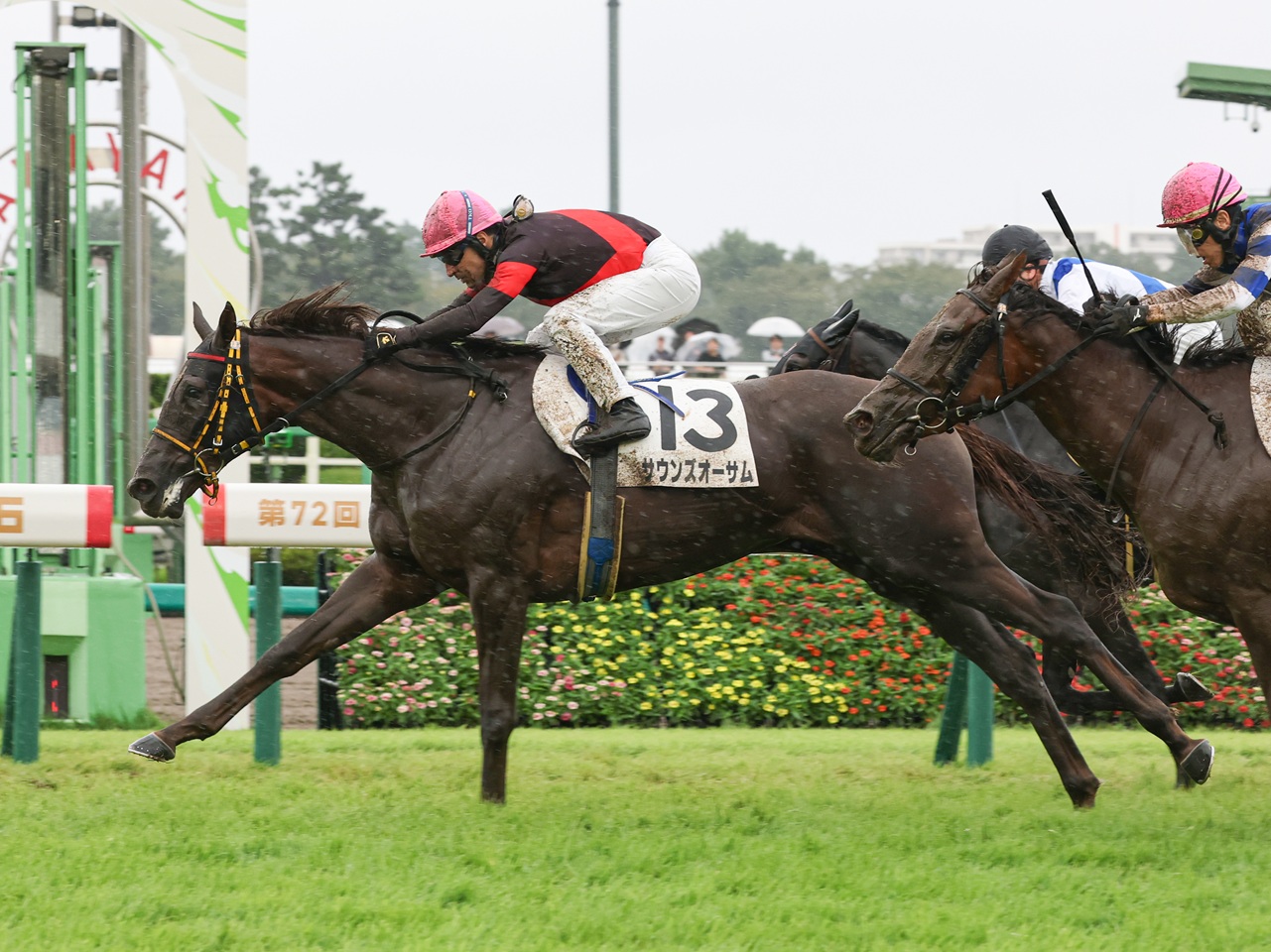 サウンズオーサムが１番人気の支持に応えて初勝利！