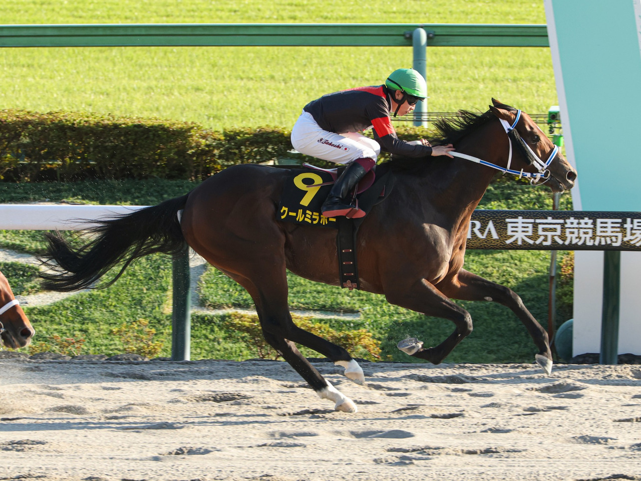 クールミラボーがリステッド勝ちで通算７勝目！