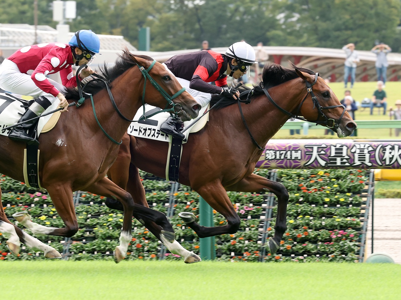 ソードオブステートが１番人気の支持に応え、新馬勝ち！