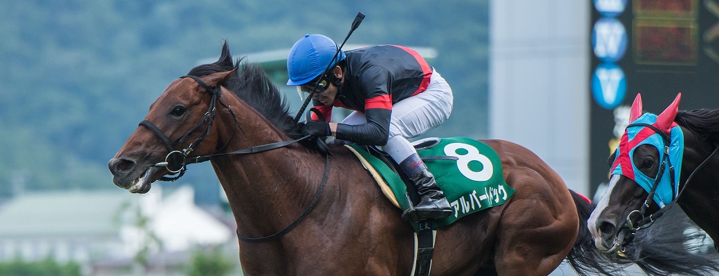 アルバートドックが七夕賞(G3)勝利で、2つめの重賞タイトル!