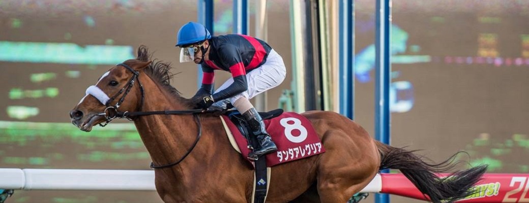 タンタアレグリアがアメリカジョッキークラブカップ(G2)で重賞初制覇!