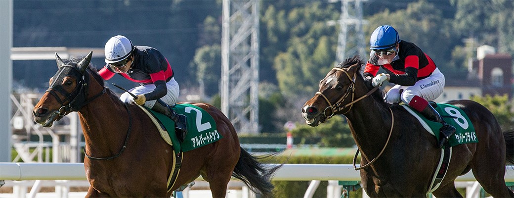 アルバートドックが小倉大賞典(G3)優勝!ケイティープライドも4着!