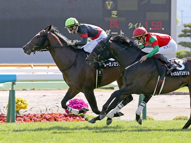 G1 Thoroughbred Club ジーワンサラブレッドクラブ G1 Thoroughbred Club ジーワンサラブレッドクラブ