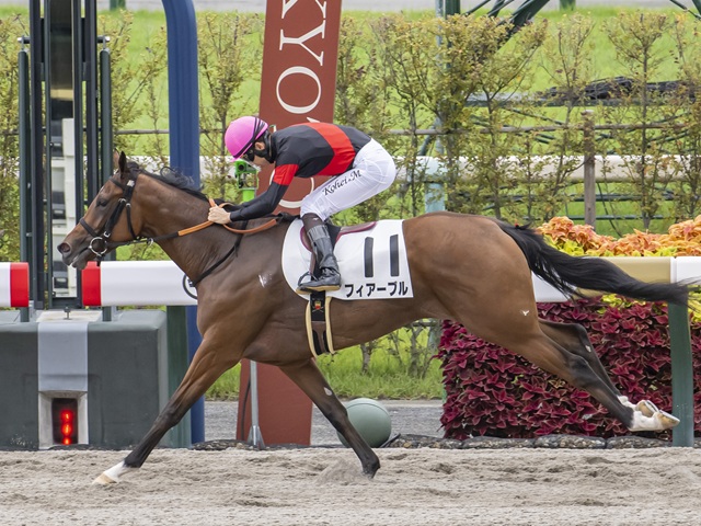 2018年度　JRA授賞式　パンフレット＆QUOカード 2020年度JRA賞受賞馬デザインQUOカードコンプリートセット 10枚